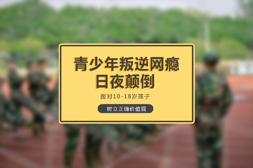 纽特教育学校环境