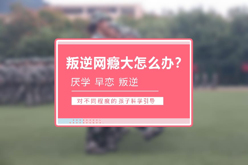 纽特教育学校环境