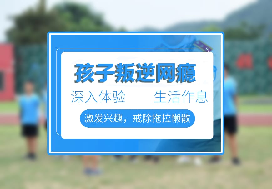 纽特教育学校环境