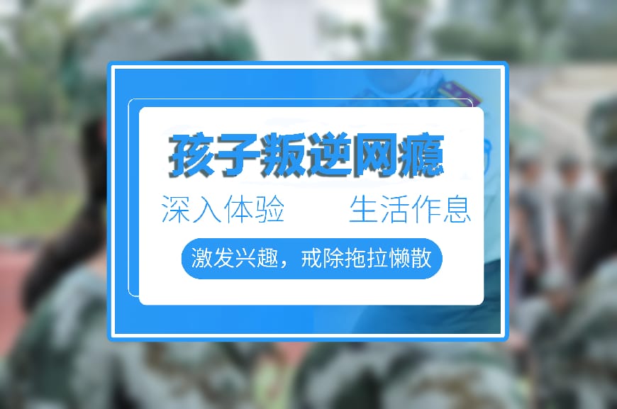 纽特教育学校环境