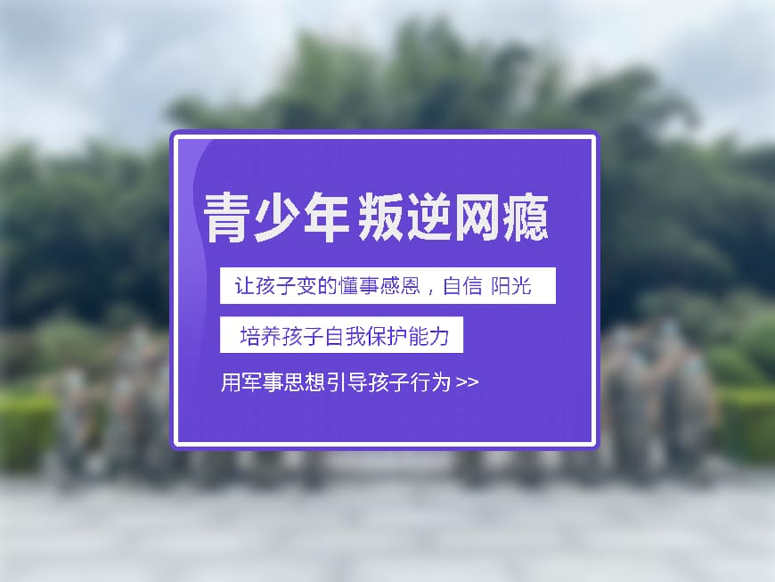 纽特教育学校环境