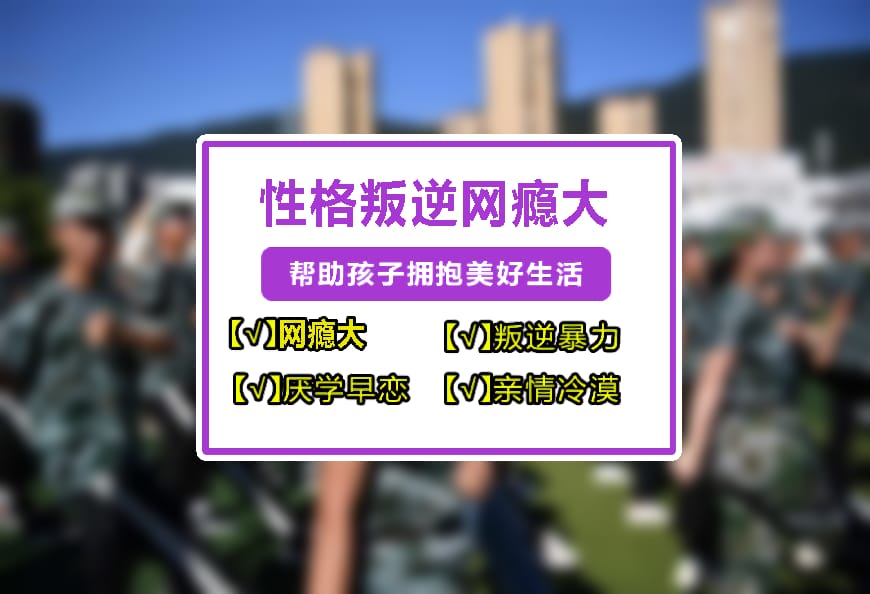 纽特教育学校环境