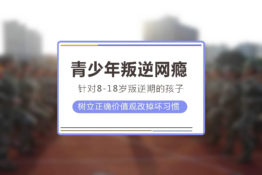 纽特教育学校环境