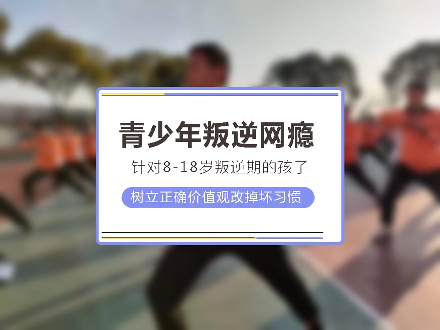 纽特教育学校环境