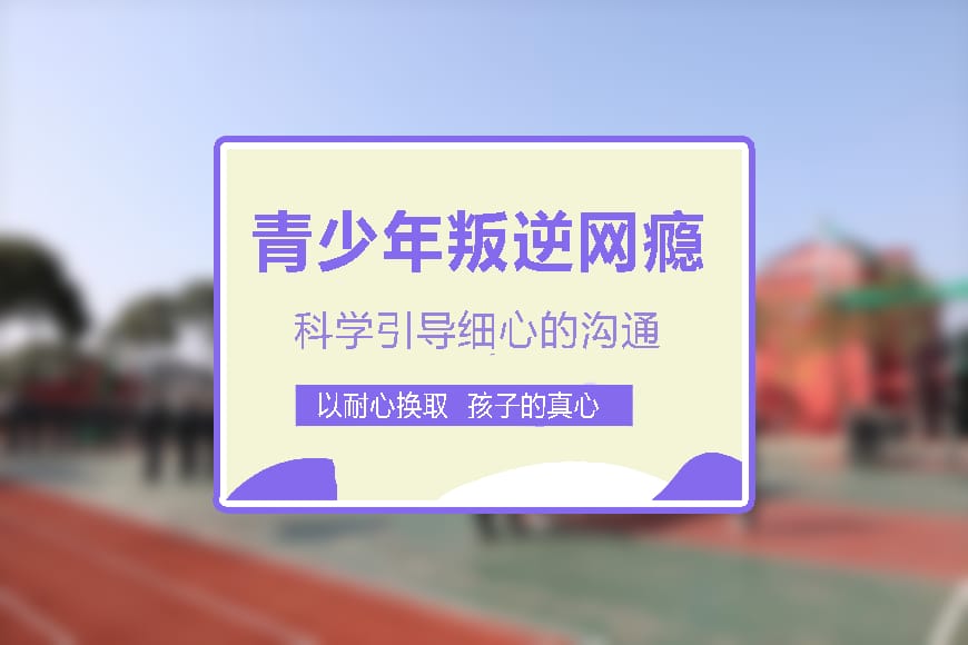 纽特教育学校环境