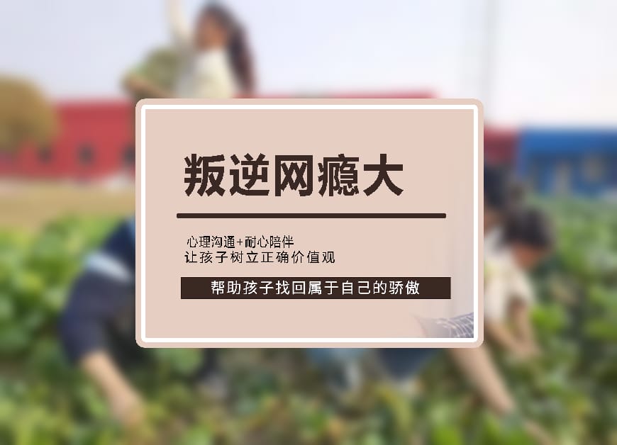 叛逆学校环境