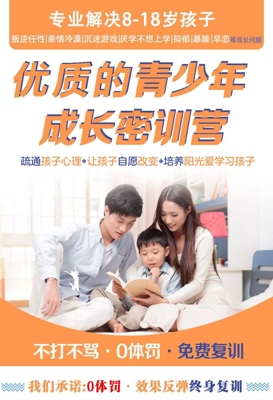 叛逆戒网学校优势