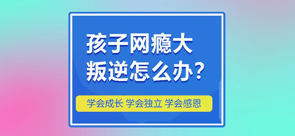 戒网瘾叛逆图片