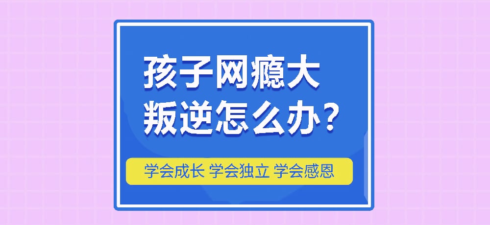 戒网瘾叛逆图片