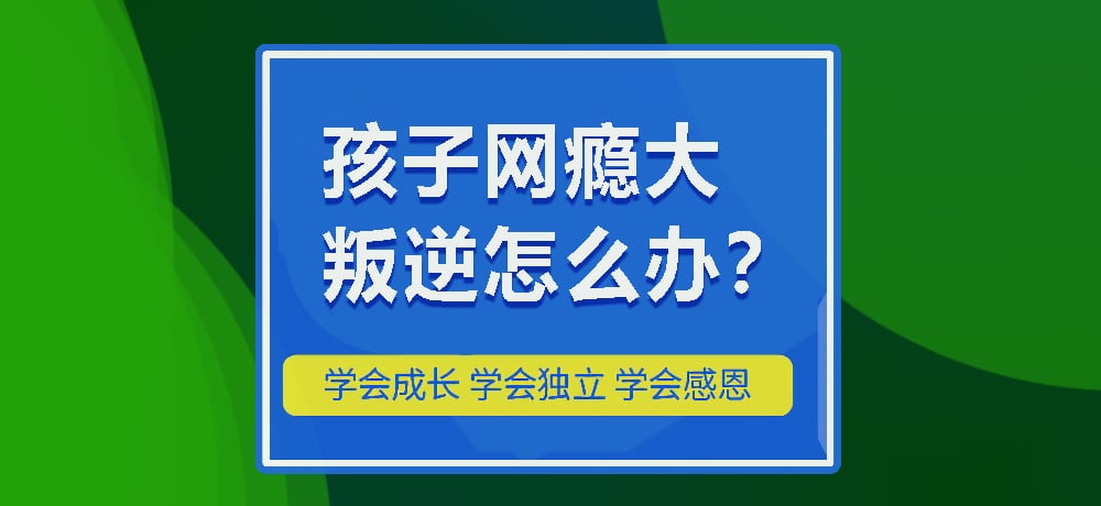 戒网瘾叛逆图片