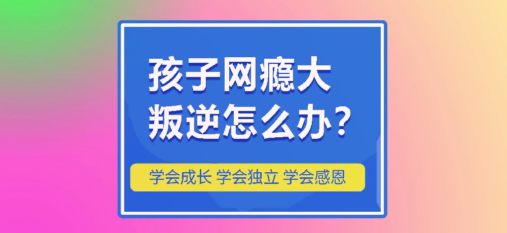 戒网瘾叛逆图片