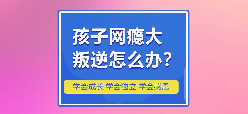 戒网瘾叛逆图片