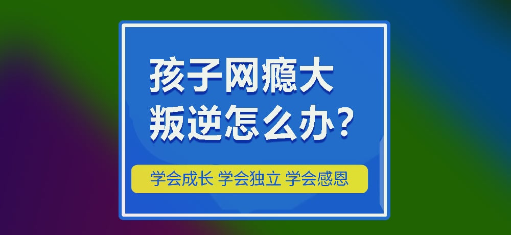 戒网瘾叛逆图片