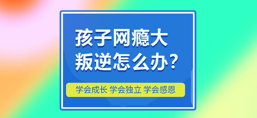 戒网瘾叛逆图片