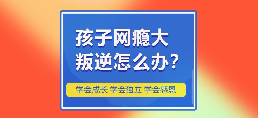 戒网瘾叛逆图片