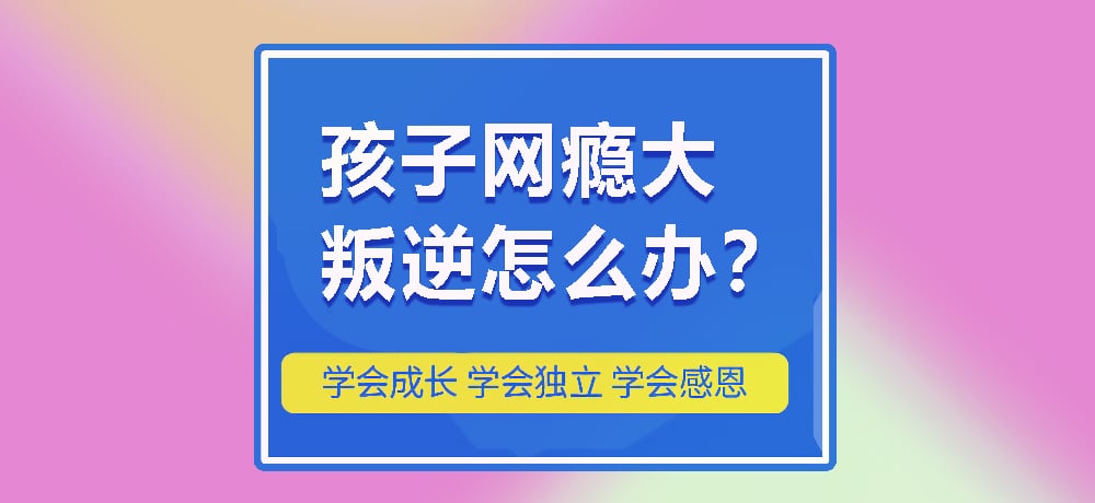 戒网瘾叛逆图片