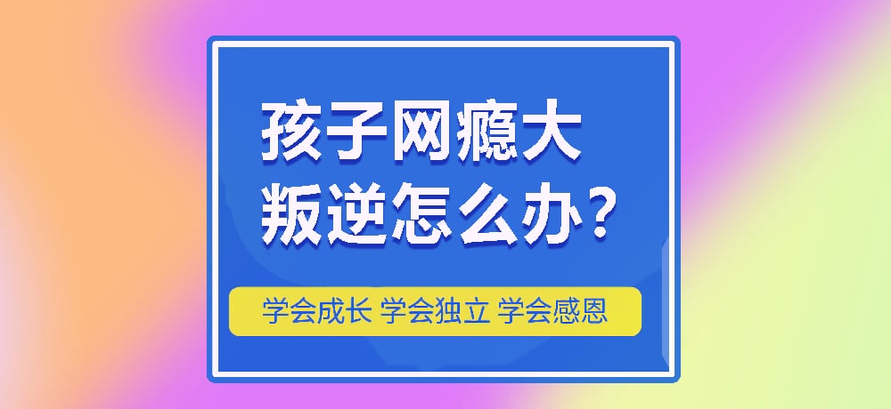 戒网瘾叛逆图片