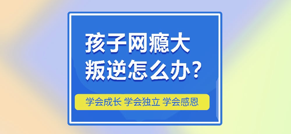 戒网瘾叛逆图片