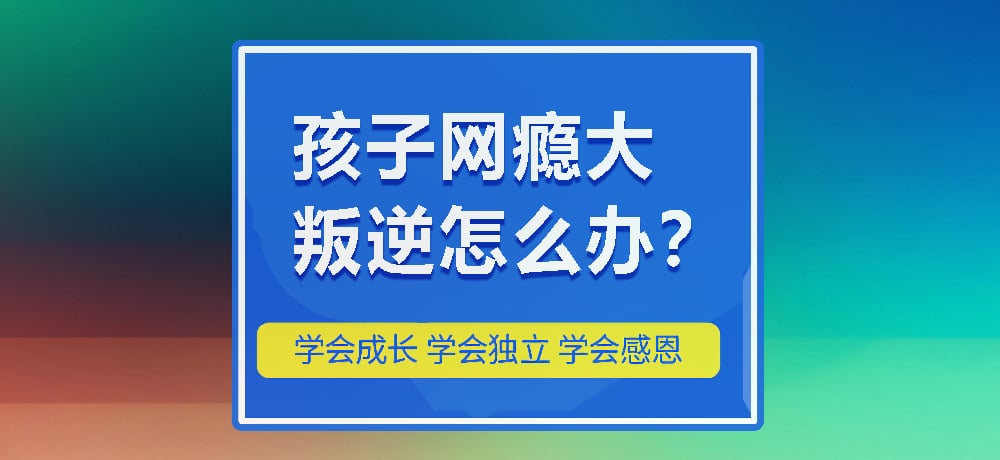 戒网瘾叛逆图片