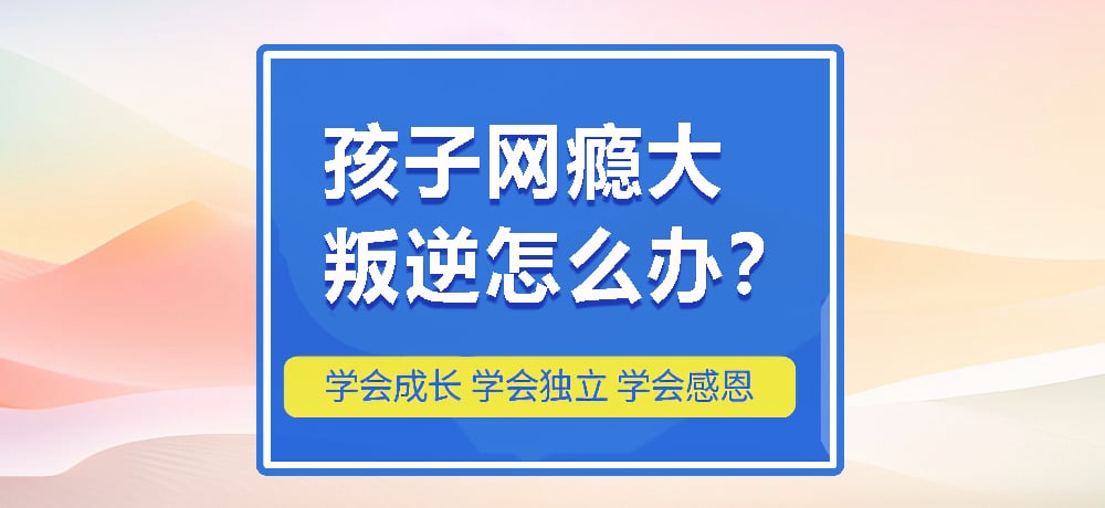 戒网瘾叛逆图片