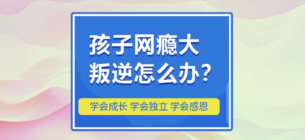 戒网瘾叛逆图片