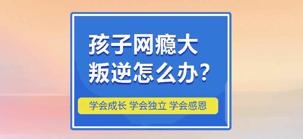 戒网瘾叛逆图片