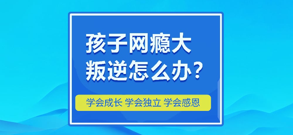 戒网瘾叛逆图片