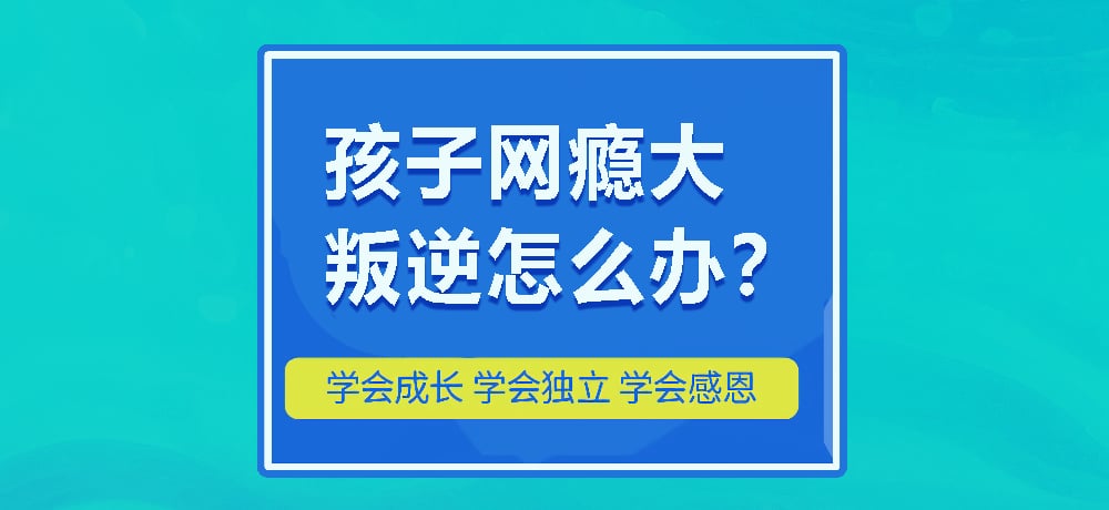 戒网瘾叛逆图片