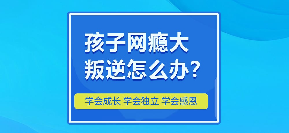 戒网瘾叛逆图片