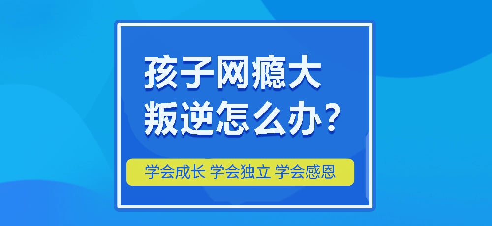 戒网瘾叛逆图片