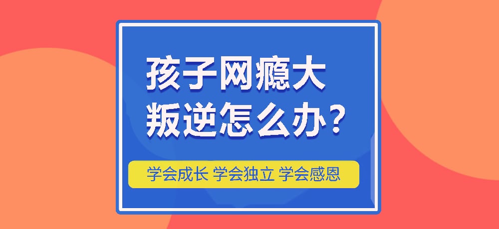 戒网瘾叛逆图片