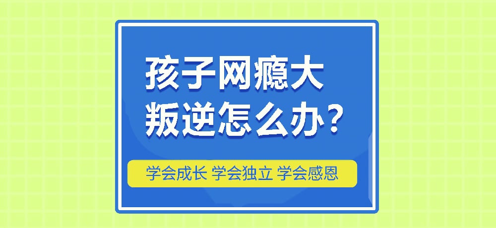 戒网瘾叛逆图片