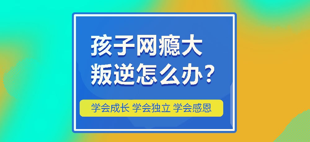 戒网瘾叛逆图片