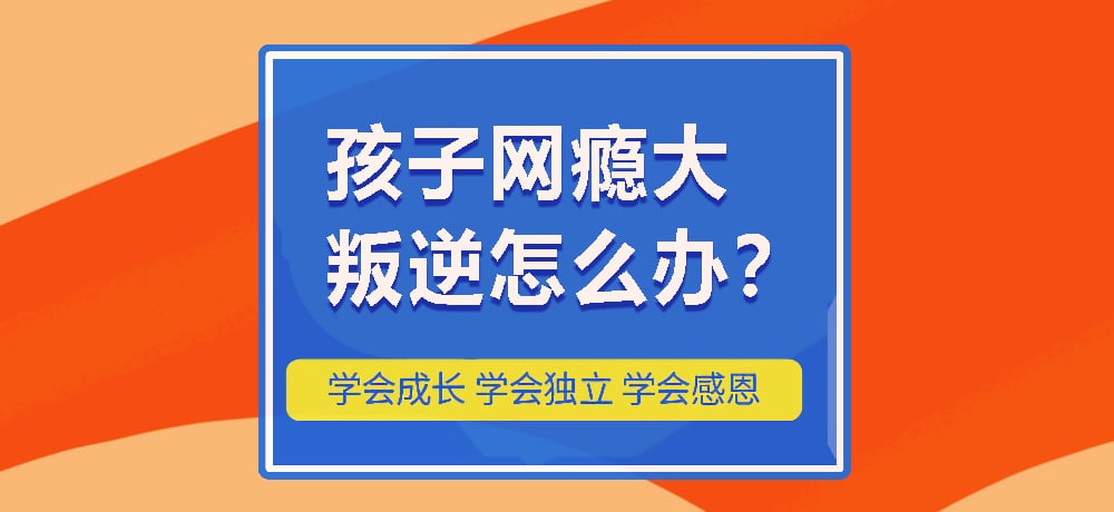 戒网瘾叛逆图片