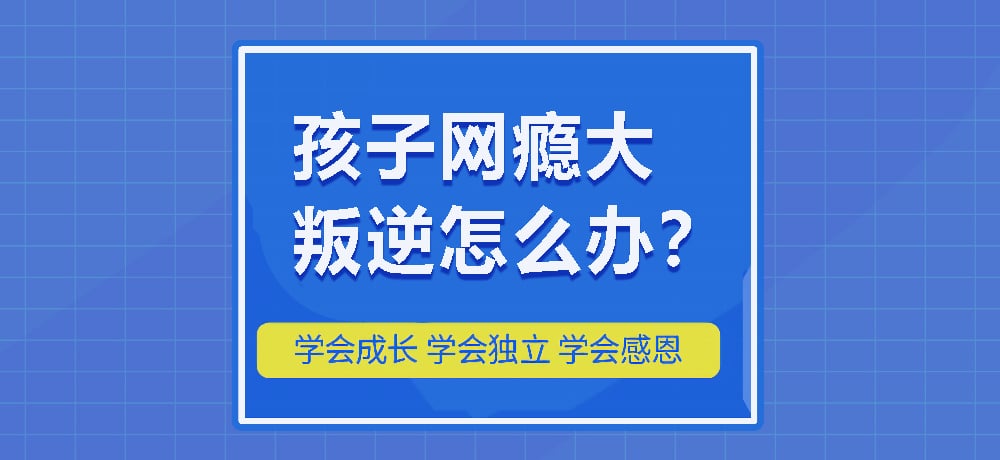 戒网瘾叛逆图片