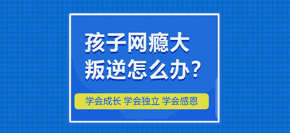 戒网瘾叛逆图片