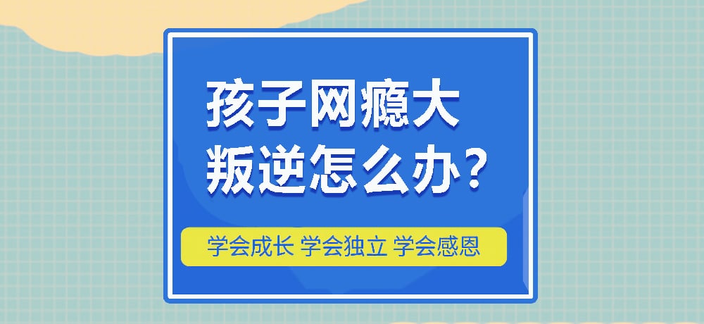 戒网瘾叛逆图片