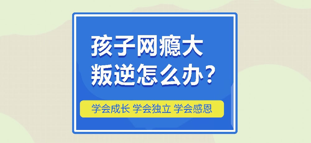 戒网瘾叛逆图片