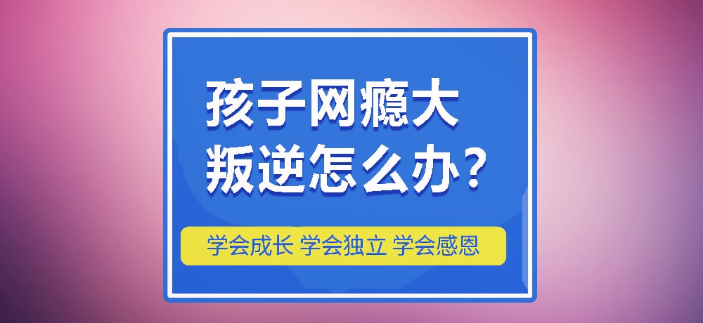 戒网瘾叛逆图片