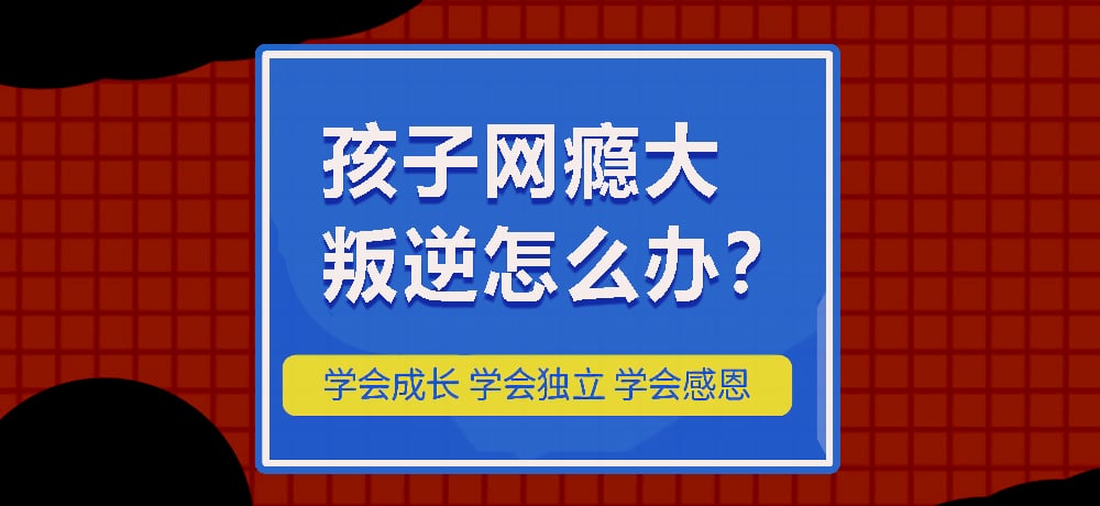 戒网瘾叛逆图片