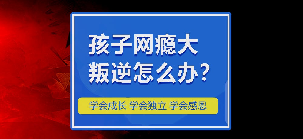 戒网瘾叛逆图片