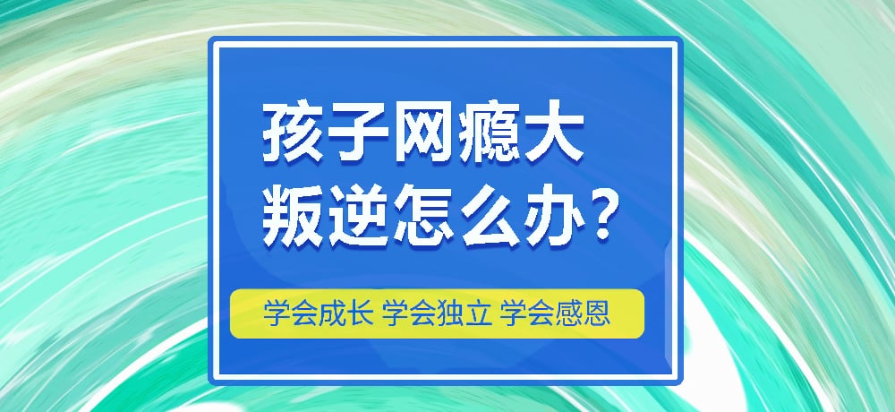 戒网瘾叛逆图片