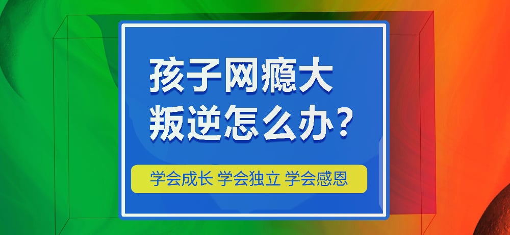 戒网瘾叛逆图片