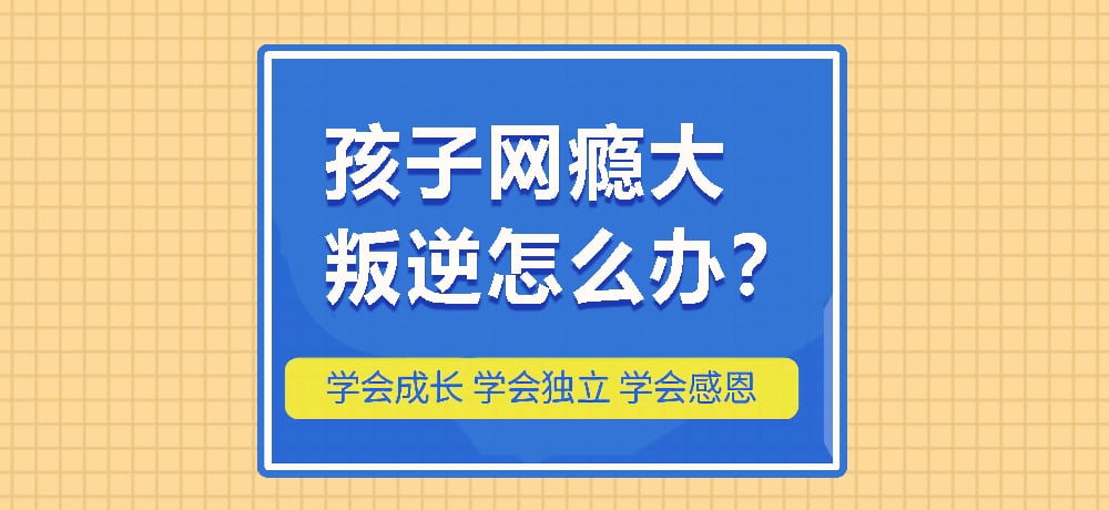 戒网瘾叛逆图片