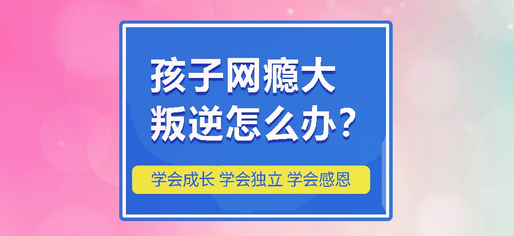 戒网瘾叛逆图片