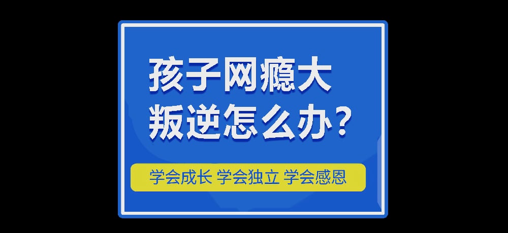 戒网瘾叛逆图片