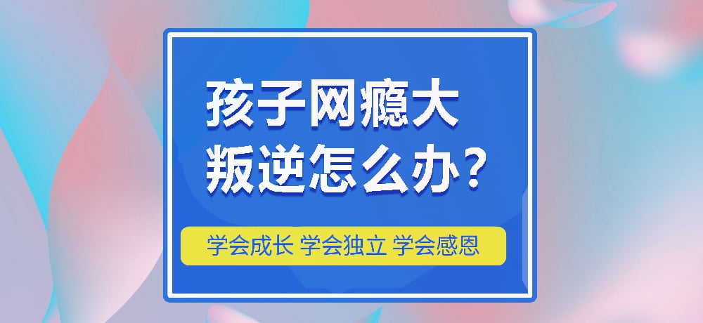 戒网瘾叛逆图片