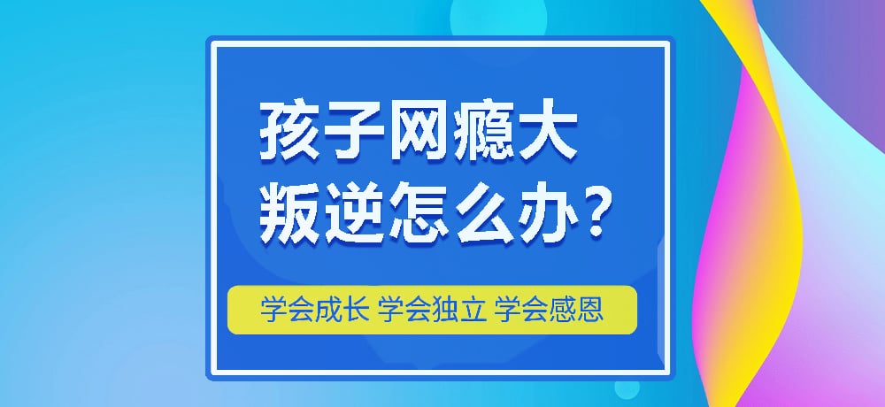 戒网瘾叛逆图片