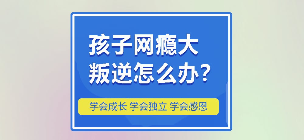 戒网瘾叛逆图片