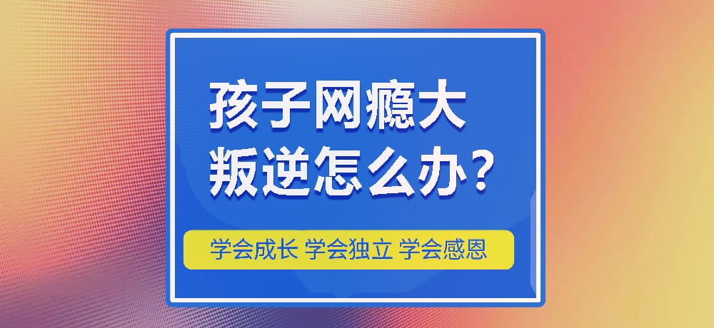 戒网瘾叛逆图片